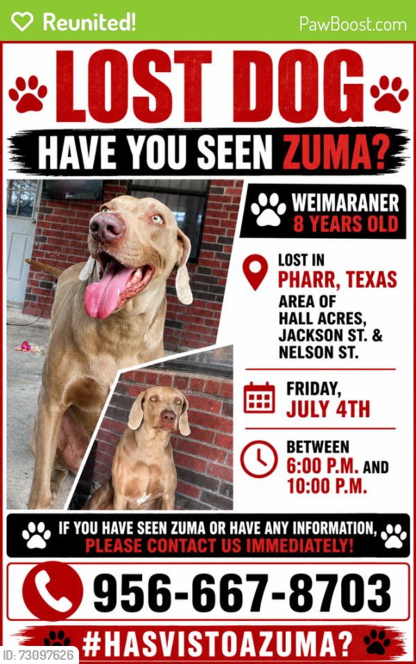 Reunited Male Dog last seen Hall acrees, Fabian st, Pharr, TX 78577