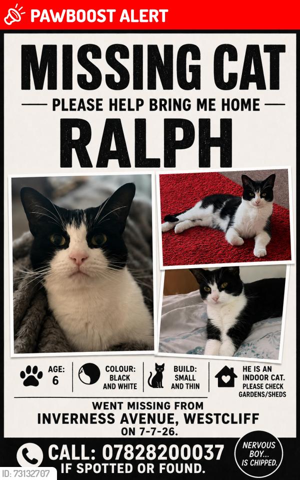 Lost Male Cat last seen Inverness Avenue / West Road, Southend-on-Sea, England 