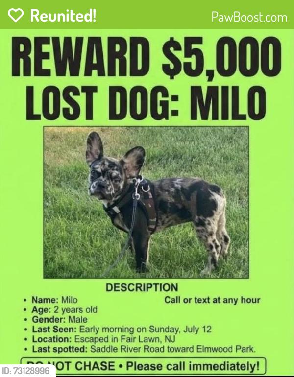 Reunited Male Dog last seen Saddle river road and wyckoff, Fair Lawn, NJ 07514