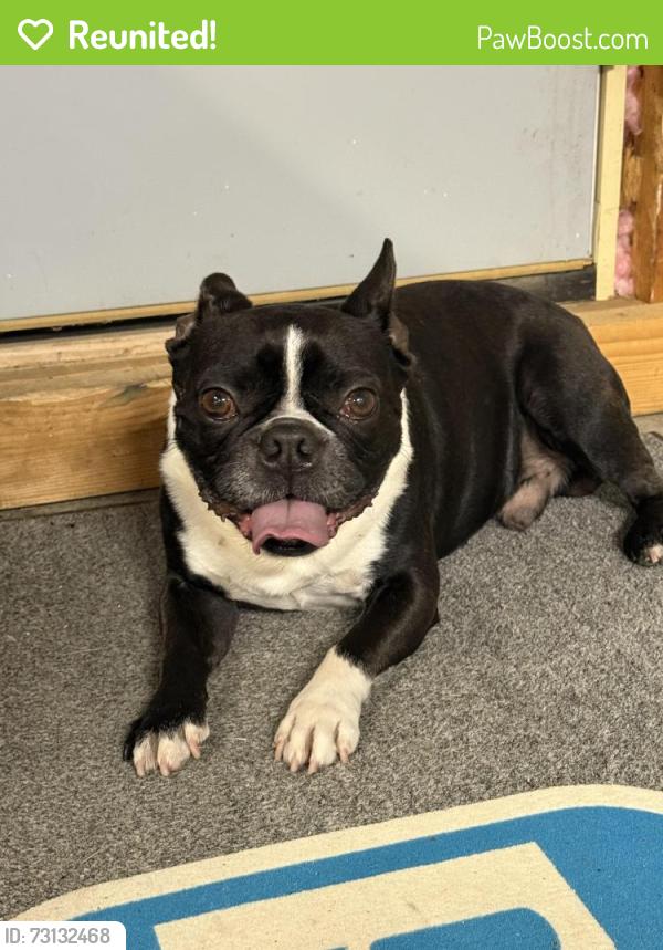 Reunited Male Dog last seen Wattles and Rochester Rd, Troy, MI 48085