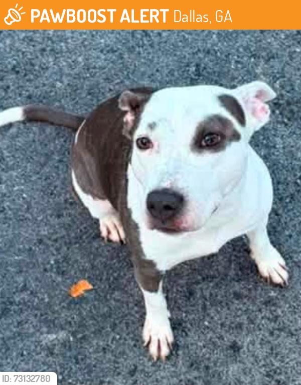 Found/Stray Female Dog last seen Reserve neighborhood, Dallas, GA 30157