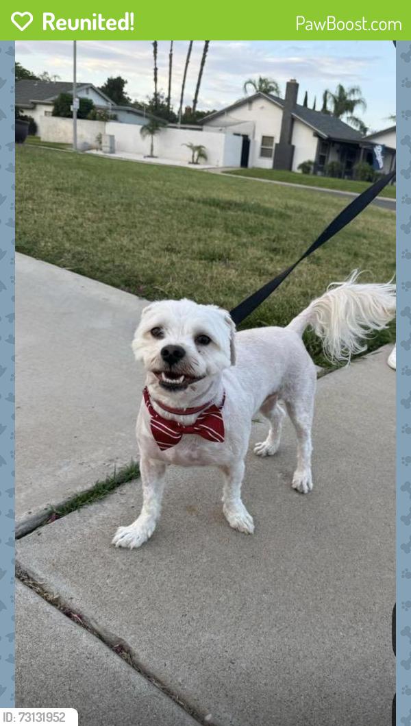 Reunited Male Dog last seen Greenhurst Dr, Riverside, CA 92505, USA, Riverside, CA 92505