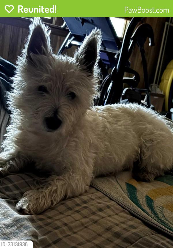 Reunited Male Dog last seen Hwy 94 and Two Taverns road, Gettysburg, PA 17325