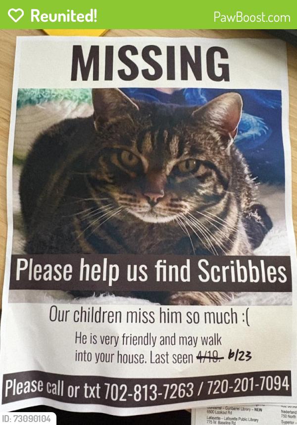 Reunited Male Cat last seen Sunridge Cir, Broomfield, CO 80020, USA, Broomfield, CO 80020