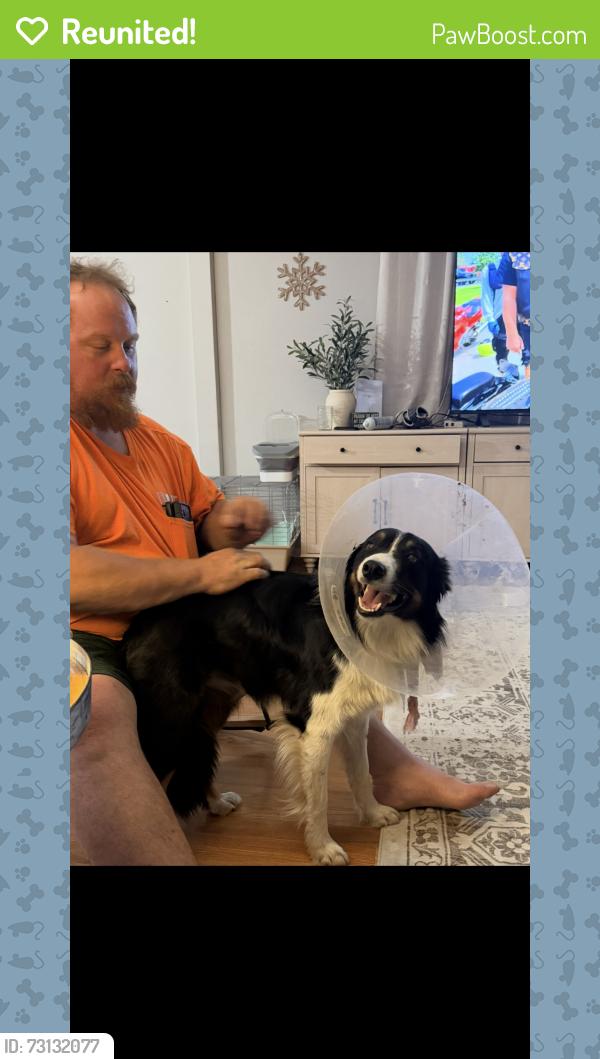 Reunited Male Dog last seen Near midway Durham ca, Durham, CA 95938