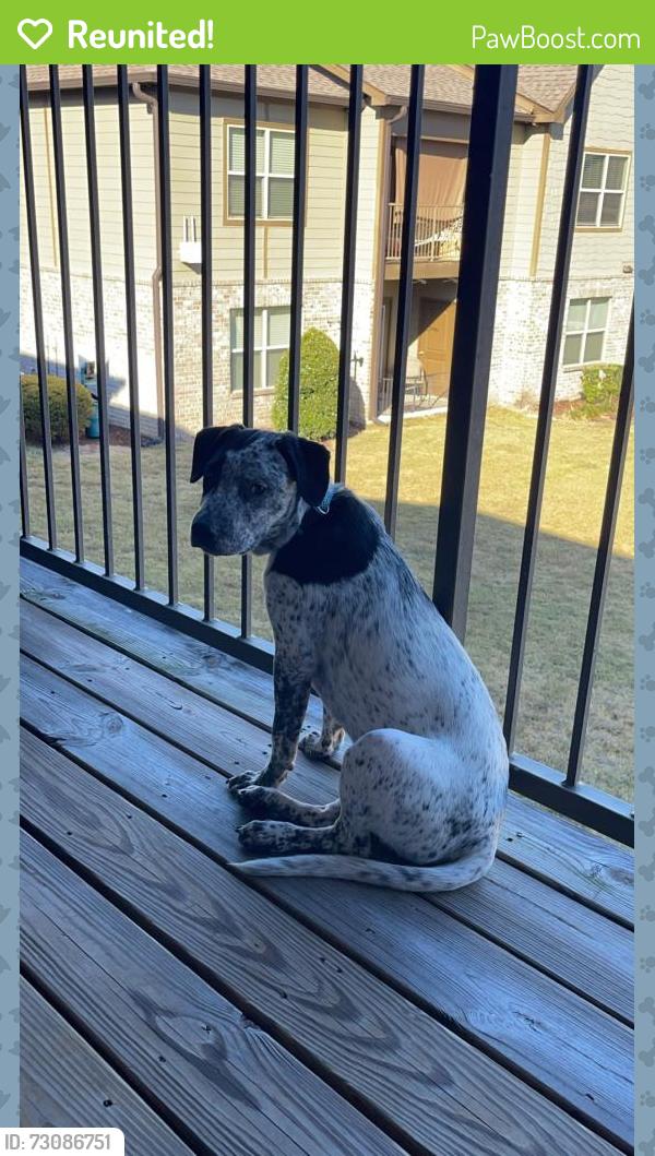 Reunited Male Dog last seen Burgess rd and whiteoak, Brent, FL 32503