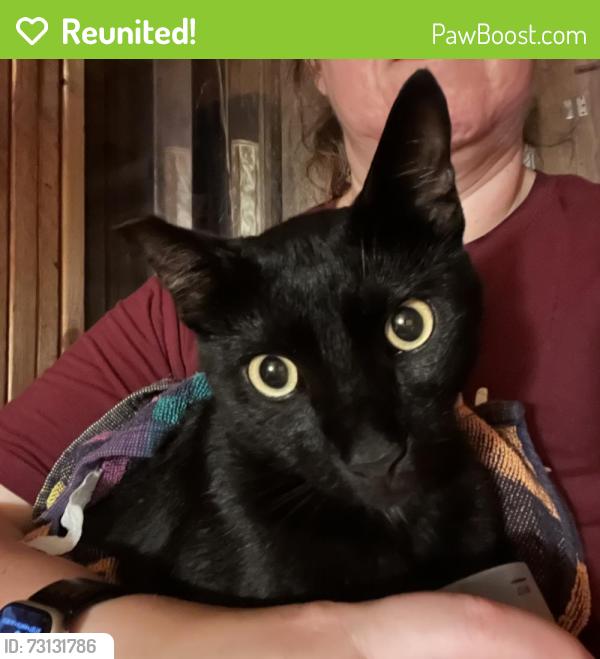 Reunited Unknown Cat last seen Sienna & Agave Sts, League City, TX 77573