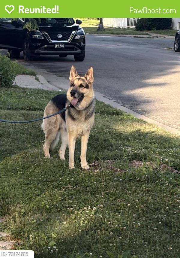 Reunited Male Dog last seen Hamline park, Saint Paul, MN 55104