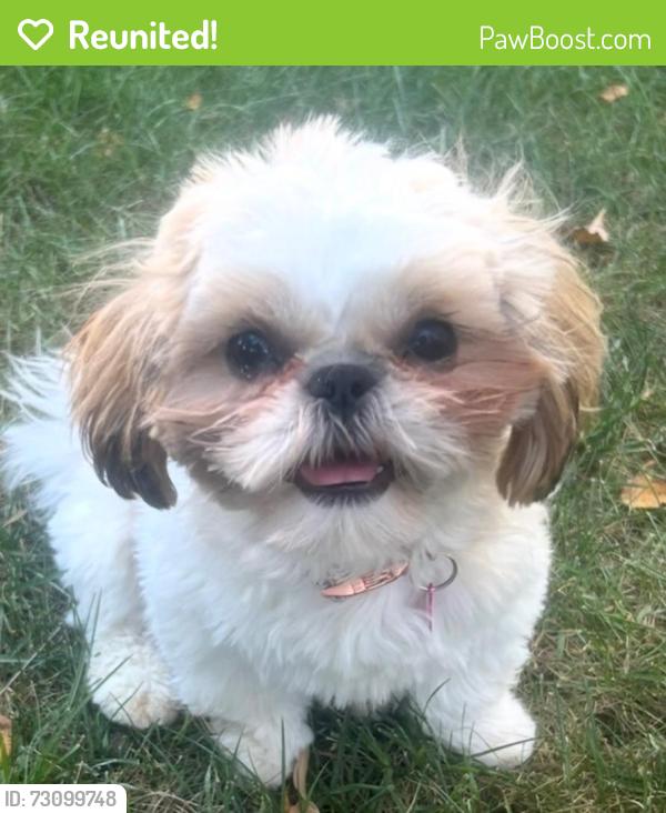 Reunited Female Dog last seen Lost for twi hours, Broken Arrow, OK 74012