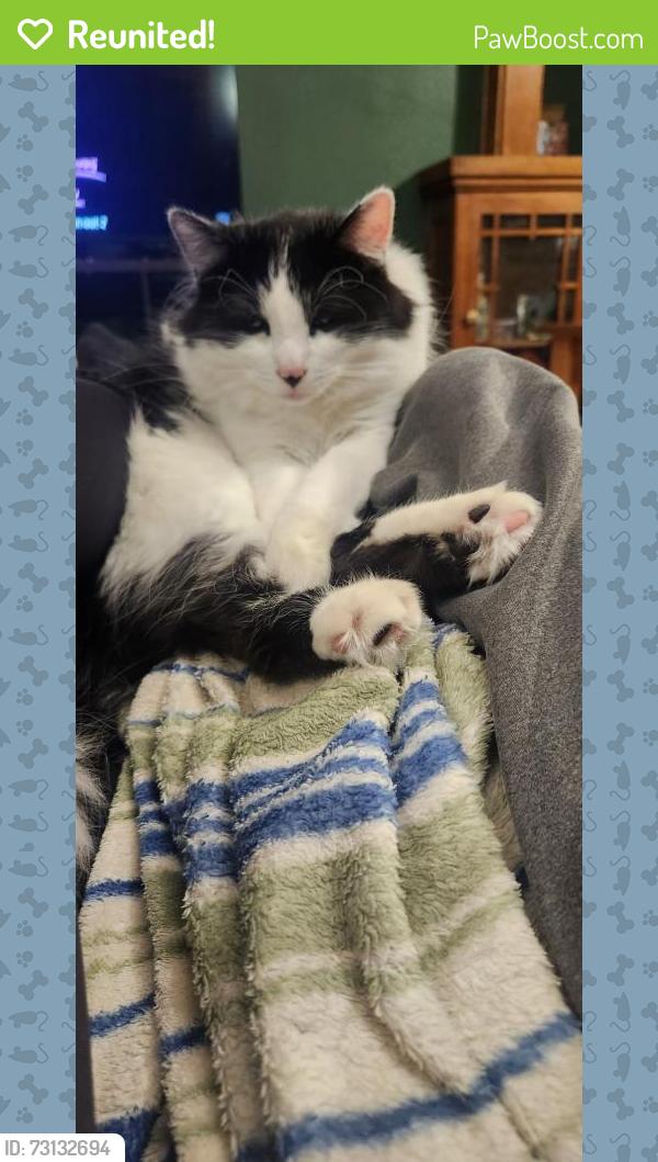 Reunited Female Cat last seen 38th and 27th, Minneapolis, MN 55406