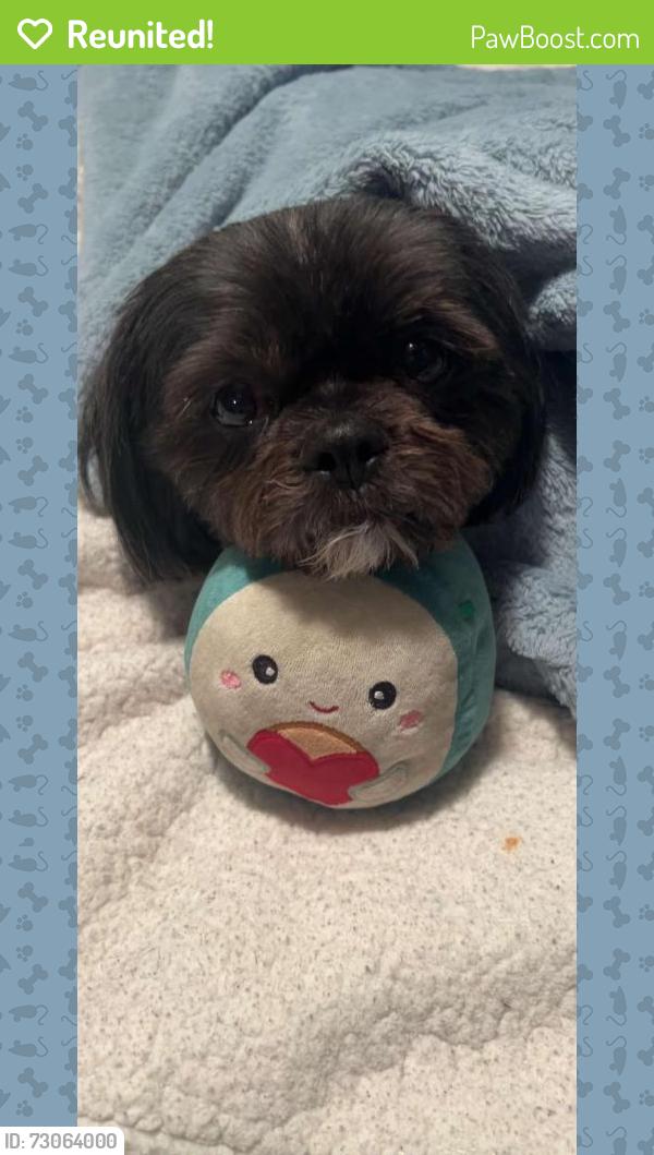 Reunited Male Dog last seen Near Abbotsford Ave, West Hartford, CT 06110
