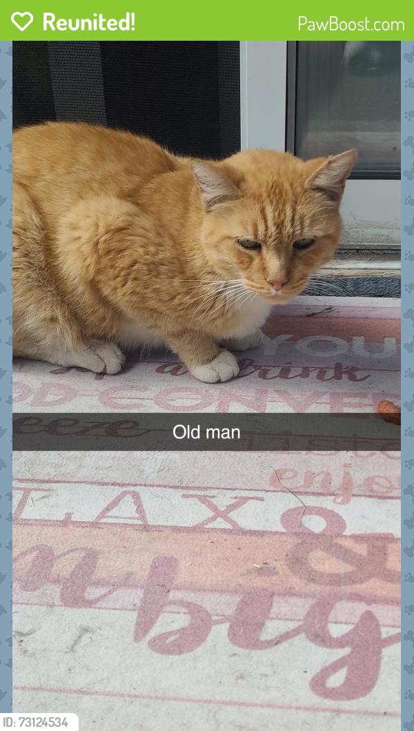 Reunited Male Cat last seen Calleystone/Piper Glen, Antelope, CA 95843