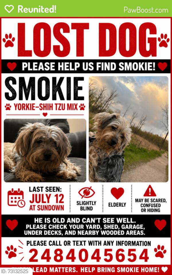 Reunited Male Dog last seen Spencer Rd old 24, Brighton, MI 48114