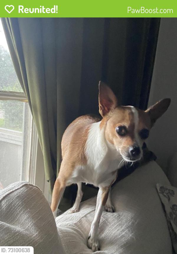 Reunited Unknown Dog last seen South and Broadway, Fort Myers, FL 33901