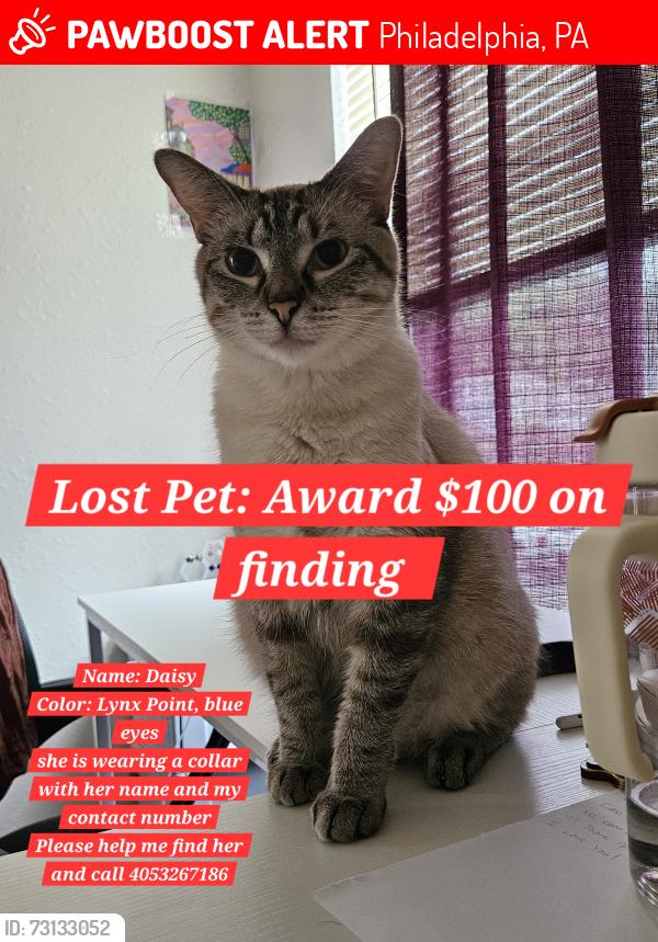 Lost Female Cat last seen Septa Railway station near Terminal E arrivals, Philadelphia airport, Philadelphia, PA 19153