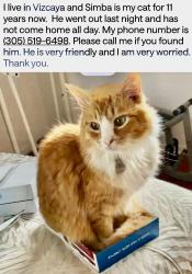 Reunited Male Cat last seen SW 152 Ave and 104 St. the Hammocks, Miami, FL 33196