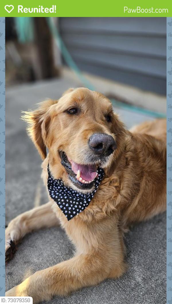 Reunited Male Dog last seen Near W. Hilltop Lane Franklin, Wi 53132, Franklin, WI 53132