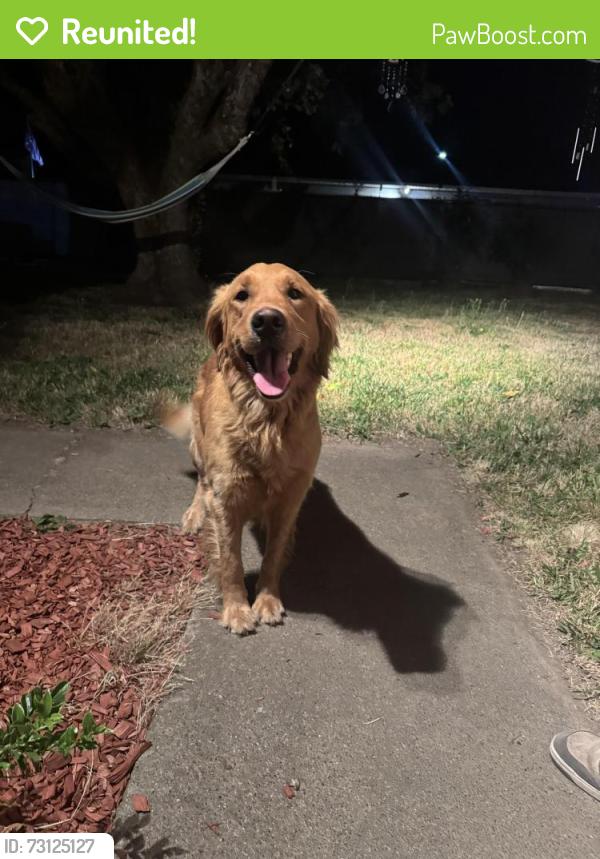 Reunited Female Dog last seen Waverly and 25th, Albany, OR 97321