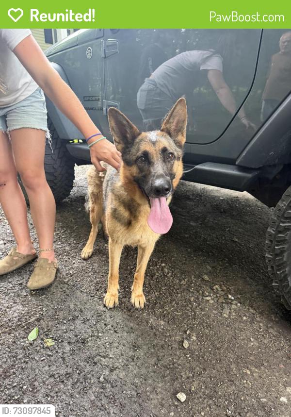 Reunited Female Dog last seen spackenkill high school, Poughkeepsie, NY 12601