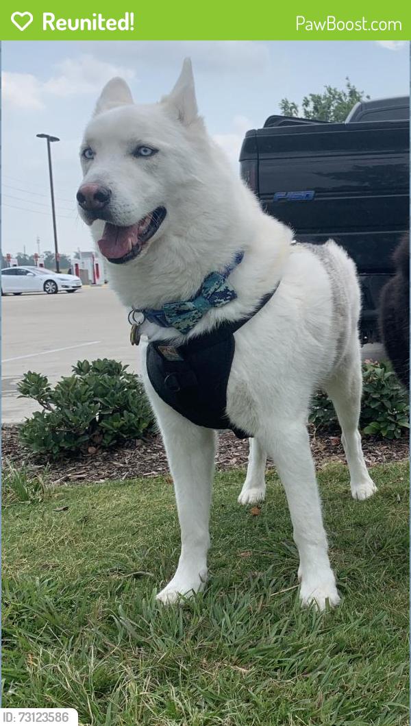Reunited Male Dog last seen The shops at Wellington Square, Wellington, FL 33414