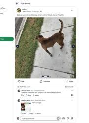 Found/Stray Male Dog last seen Johns Way and Shadydell, Lakeside, TX 76135
