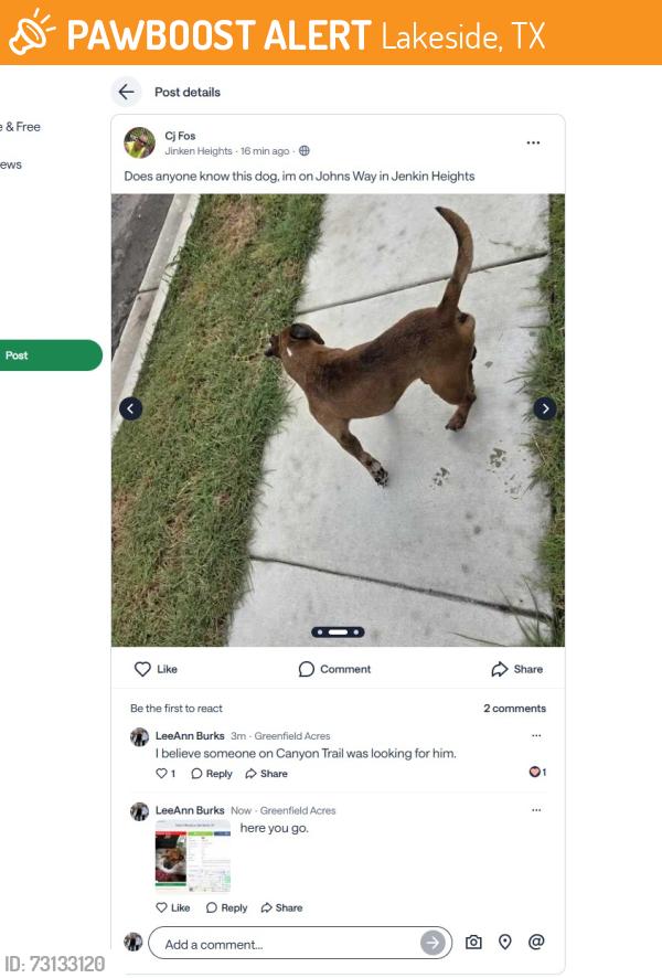 Found/Stray Male Dog last seen Johns Way and Shadydell, Lakeside, TX 76135