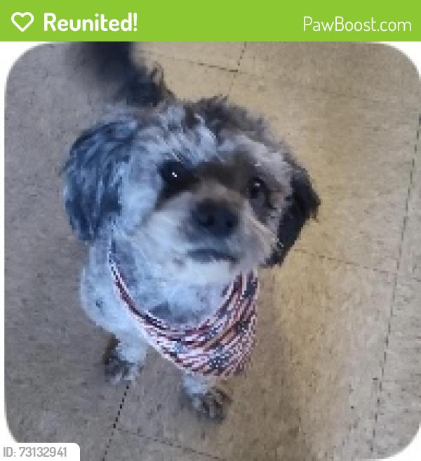 Reunited Male Dog last seen Inyo and bardsley, Tulare, CA 93274