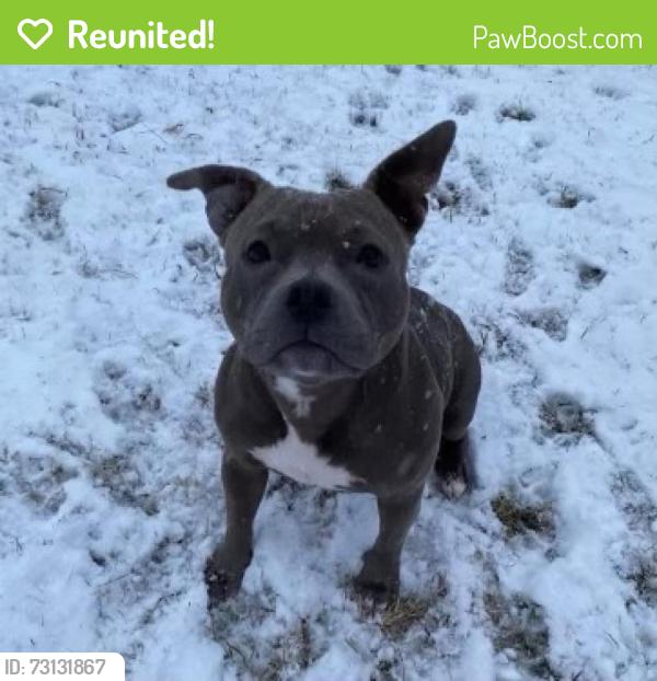 Reunited Female Dog last seen Near S 97th W Ave, Sapulpa, OK 74066, USA, Sapulpa, OK 74066