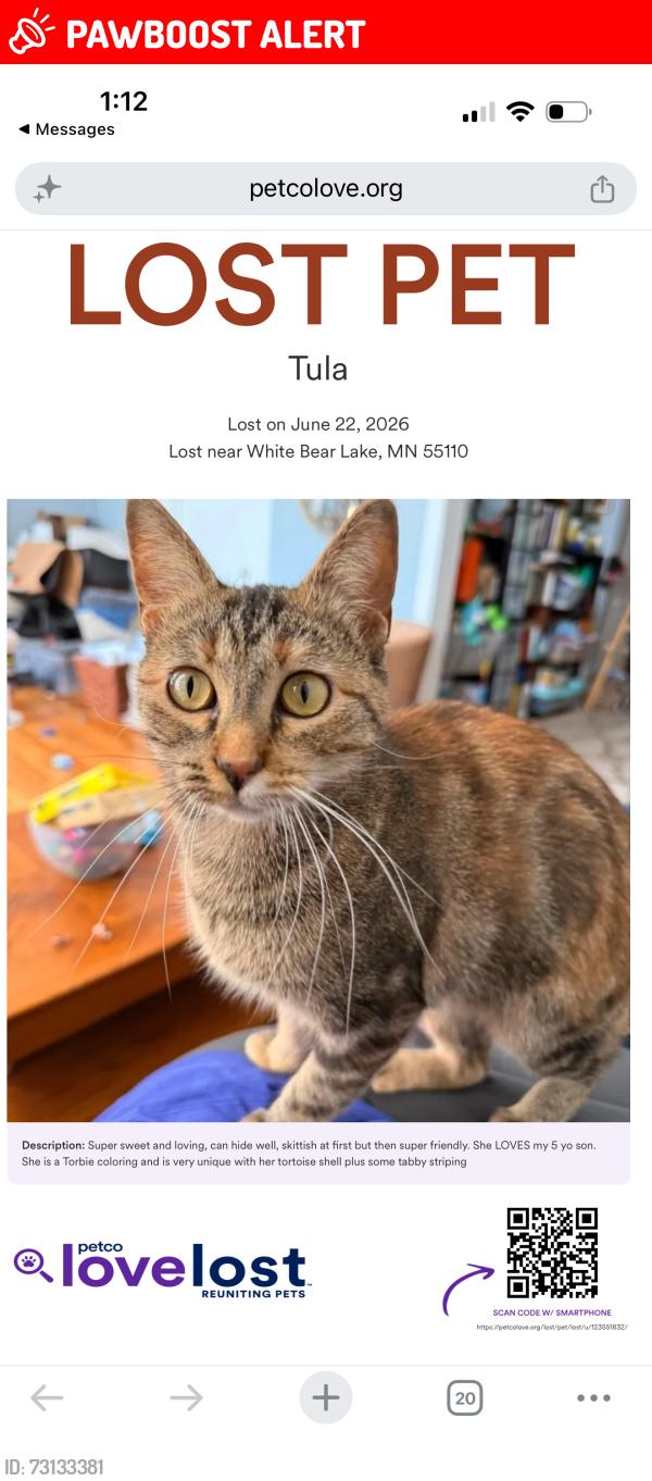 Lost Female Cat last seen McKnight and Cedar in White Bear Lake, White Bear Lake, MN 55110