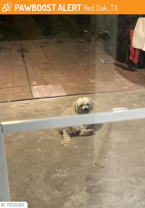Found/Stray Male Dog last seen Ovilla Rd, Red Oak, TX 75154