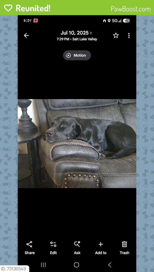 Reunited Female Dog last seen Sego lily drive, Sandy, UT 84094