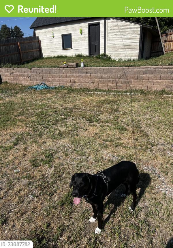 Reunited Female Dog last seen Legacy Circle and CO 86, Elizabeth, CO 80107