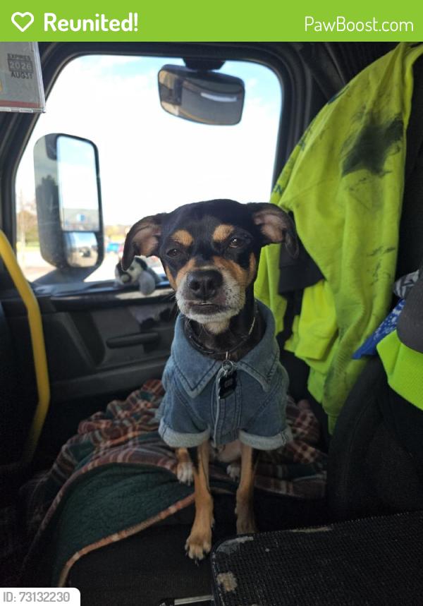Reunited Male Dog last seen Near S Holt Rd, Indianapolis, IN 46241, USA, Indianapolis, IN 46241