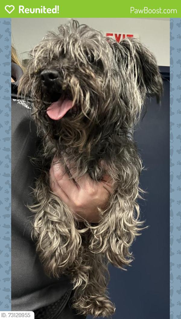 Reunited Unknown Dog last seen Port St Lucie, Port St. Lucie, FL 34986