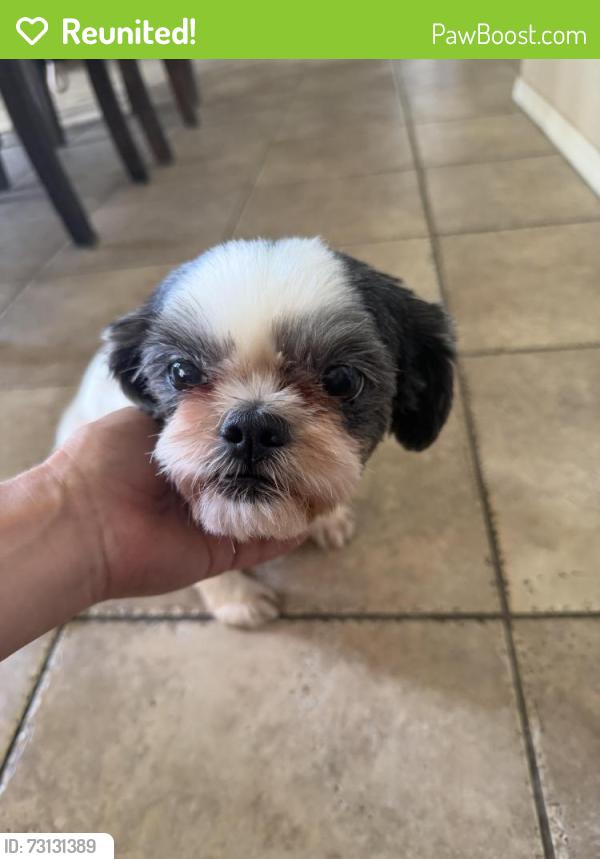 Reunited Female Dog last seen Sparrow perrs, Perris, CA 92571