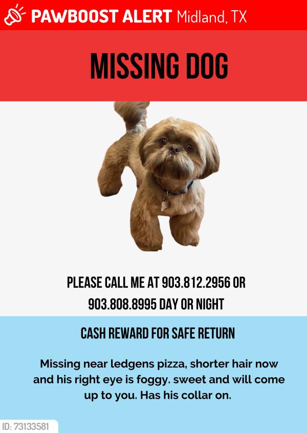 Lost Male Dog last seen Near S County Road 1270 Midland, Midland, TX 79706