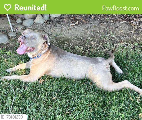 Reunited Male Dog last seen La Riviera, Sacramento, CA 95826