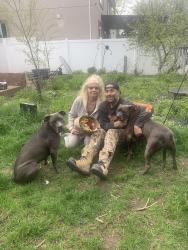 Reunited Female Dog last seen Near Leda ave, Mississauga, ON L5G 4B9