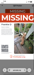 Lost Male Dog last seen Near Tennis Cir Fairburn, Fairburn, GA 30213