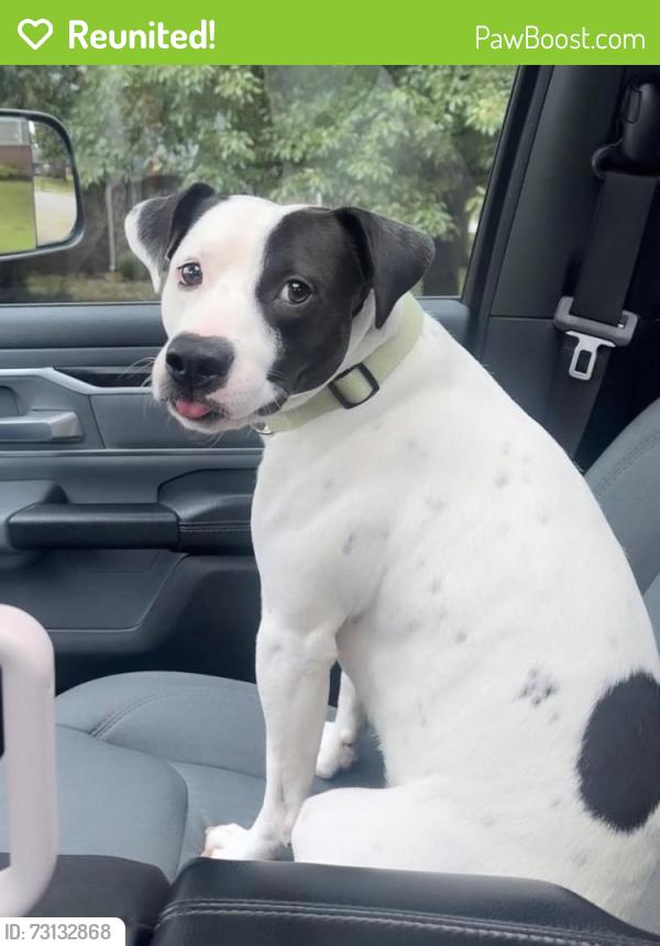Reunited Male Dog last seen Drexelwood Drive, Carley, Springdale, AR 72762