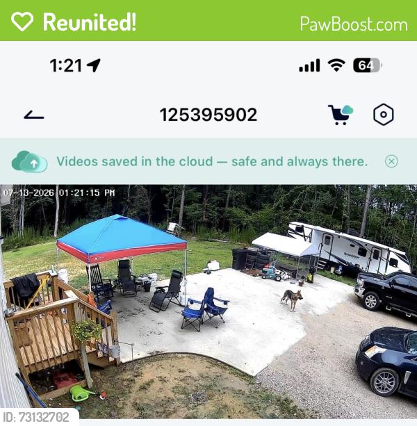 Reunited Female Dog last seen Falls Lane, Vance County, NC 27536