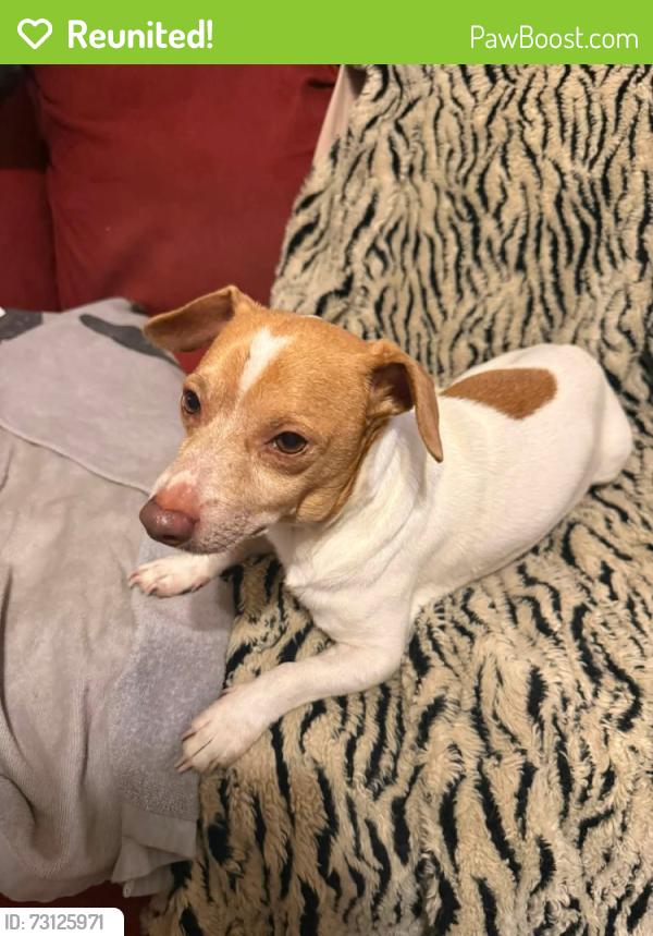 Reunited Male Dog last seen West 49th and Charles page, Tulsa, OK 74127