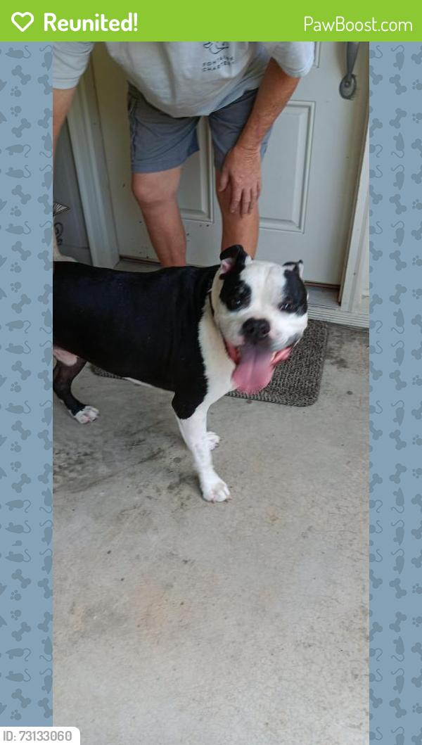 Reunited Male Dog last seen Smythe, Summerville, SC 29485