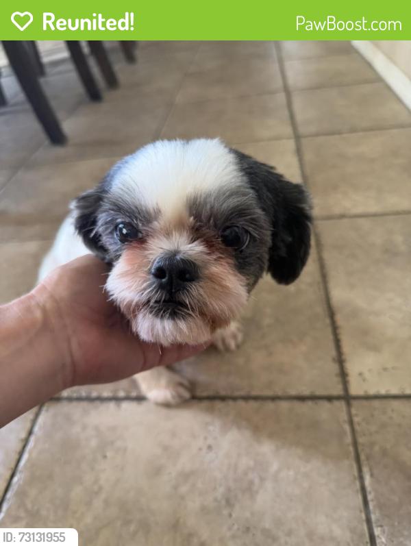 Reunited Female Dog last seen Perris, Perris, CA 92572