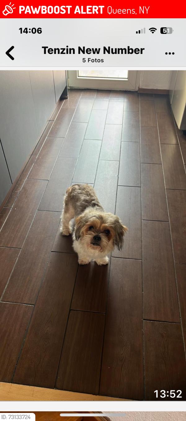 Lost Male Dog last seen Near Av 85-22, Queens, NY 11373