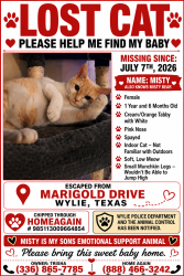 Lost Female Cat last seen Hazelwood drive, Wylie, TX 75098