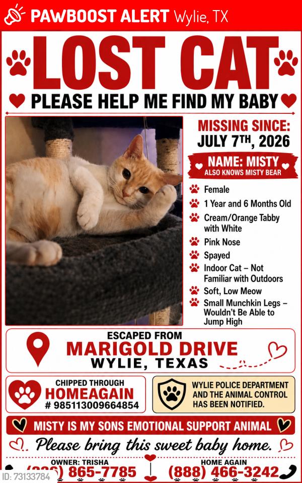 Lost Female Cat last seen Hazelwood drive, Wylie, TX 75098