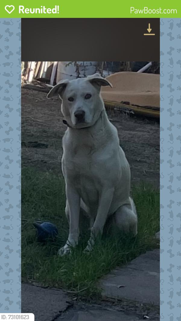Reunited Male Dog last seen Near beta at, National City, CA 91950