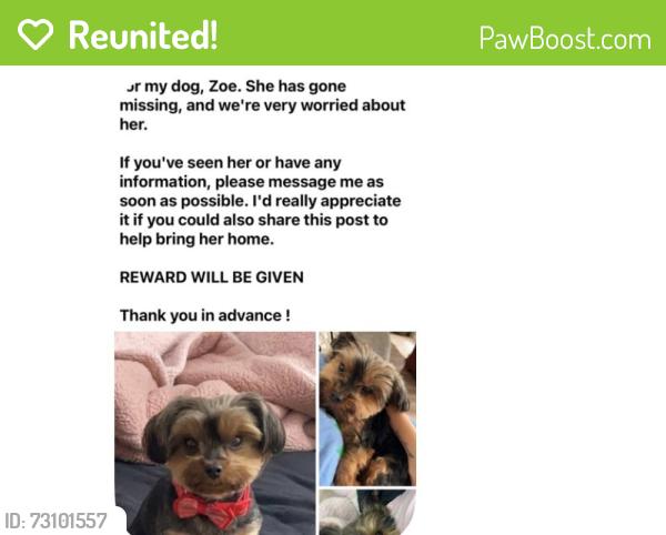 Reunited Female Dog last seen Titan Park, Converse, TX 78109