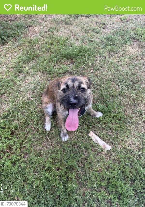 Reunited Male Dog last seen 59th ave and Tuttle ave. Sarasota, Sarasota, FL 34243